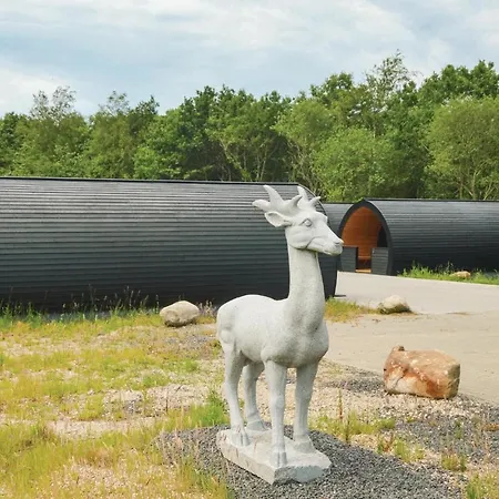 Apartment In With Wifi